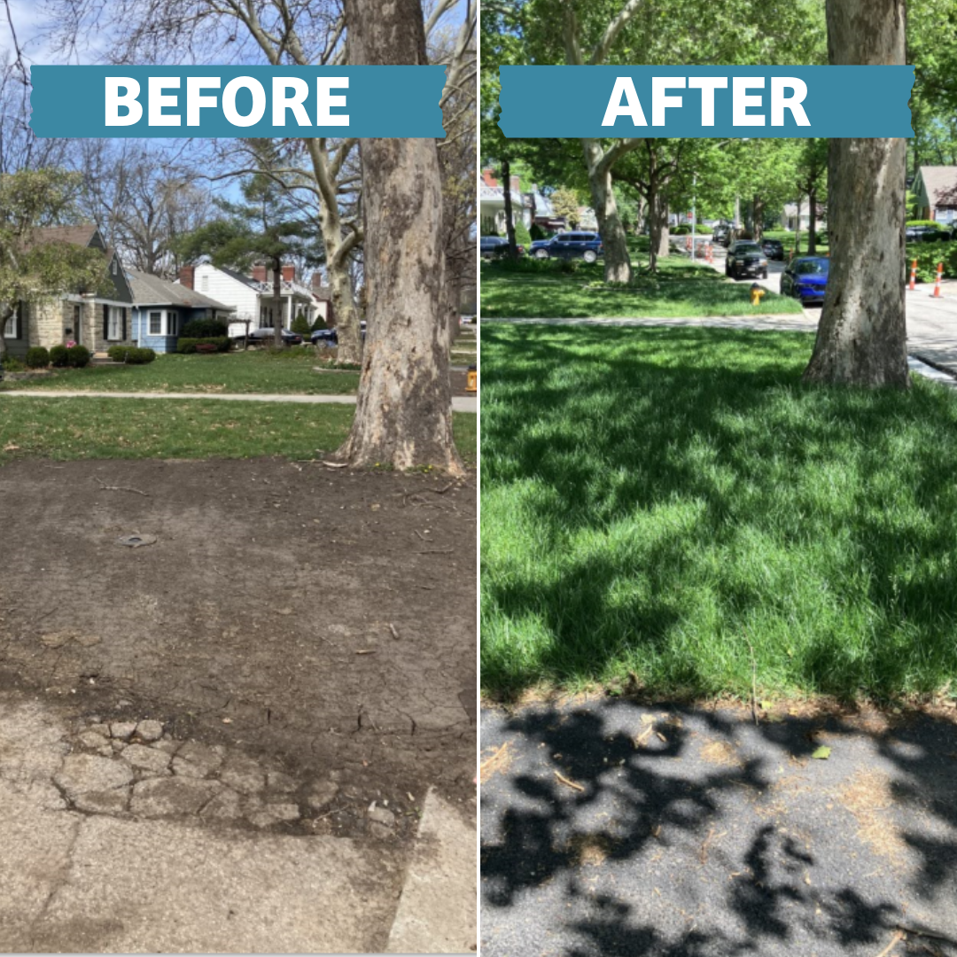 Restoration Before and After-3